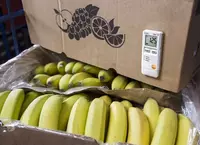 влажности и температуры для мониторинга при транспортировке