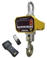 OCS-SL2 с ПДУ280 — крановые весы