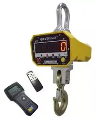 OCS-SL2 с ПДУ280 — крановые весы