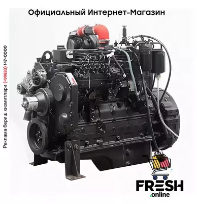 Cummins B5.9 -C aus EX 165 W