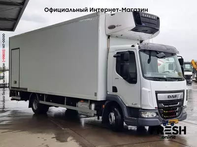 Холодильник грузовик DAF LF 210 4X2