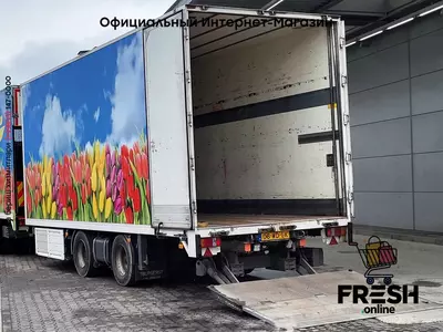 Холодильник грузовик Mercedes Actros 2842 6X2