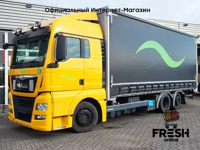 Шторки грузовик MAN TGX 24.480 6X2