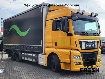 Шторки грузовик MAN TGX 24.480 6X2
