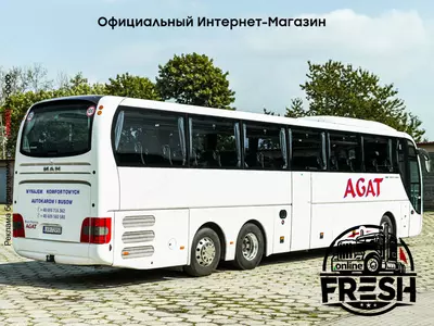 Туристический автобус MAN Lion's Coach L R08 Euro VI