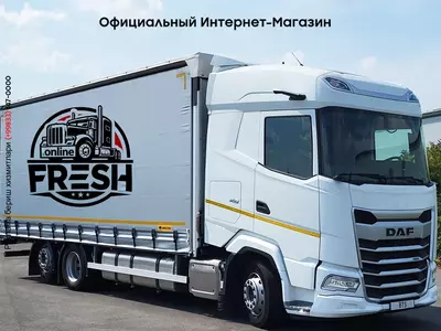 Шторки грузовик DAF XG 480 6X2 