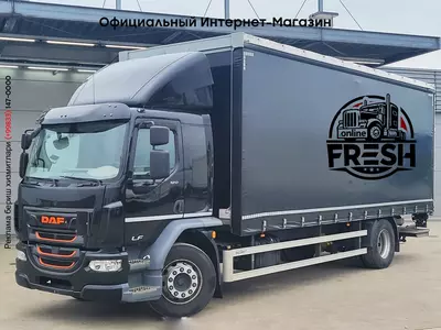 Шторки грузовик DAF LF 320 4X2 