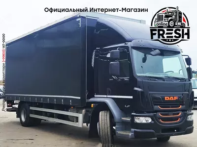 Шторки грузовик DAF LF 320 4X2