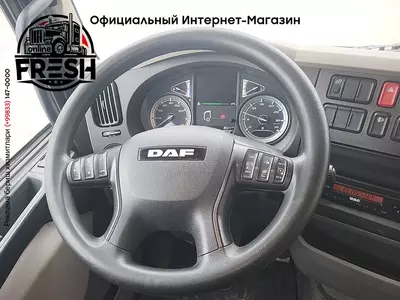 Шторки грузовик DAF LF 320 4X2 