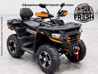 Мотовездеход TGA300F