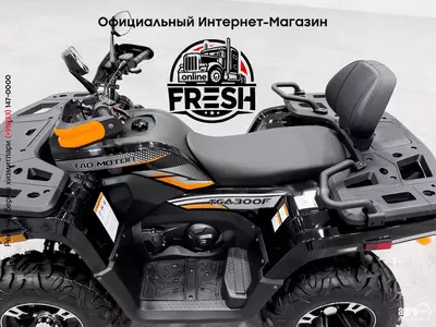 Мотовездеход TGA300F
