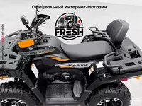 Мотовездеход TGA300F - "Fresh online"©️