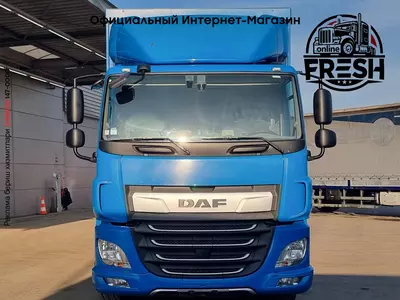 Шторки Грузовик DAF CF 320 4X2