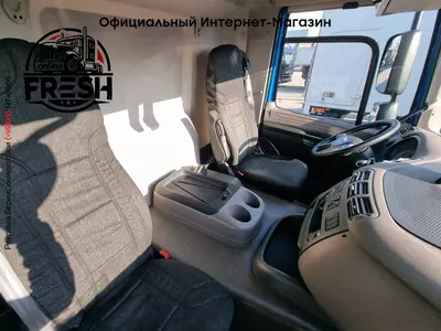 Шторки Грузовик DAF CF 320 4X2