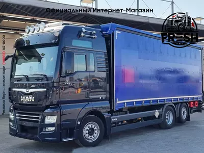 Шторки грузовик MAN TGX 26.510 6X2