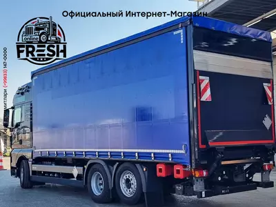 Шторки грузовик MAN TGX 26.510 6X2