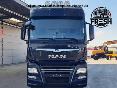 Шторки грузовик MAN TGX 26.510 6X2