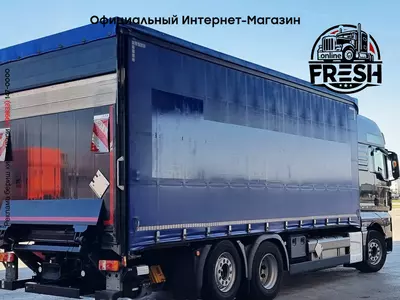 Шторки грузовик MAN TGX 26.510 6X2