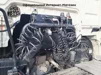 Тягач MAN TGX 18.500 4X2 "Fresh online"©️