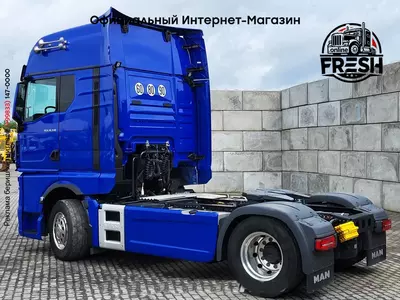 Тягач MAN TGX 18.510 4X2