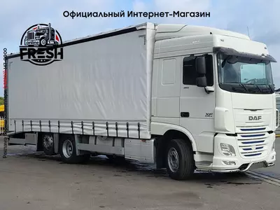 Грузовик DAF XF 460 6X2