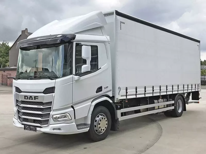 Грузовики с шасси и кабиной DAF XD 310 FA 4x2 — ST895 Schuifzeil Carr.