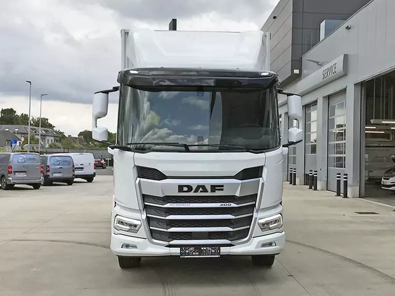   Грузовики с шасси и кабиной DAF XD 310 FA 4x2 — ST895 Schuifzeil Carr.