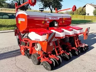 Mustang chrono 306 aniq ekish seyalkasi