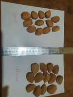 Миндаль - от {0} сум