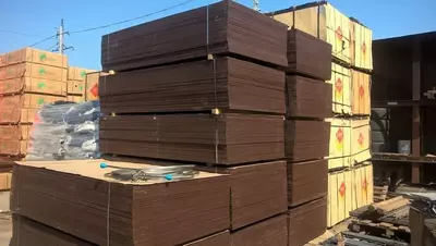 Finlyandiya laminatlangan kontrplak, namlikka chidamli, Art 022