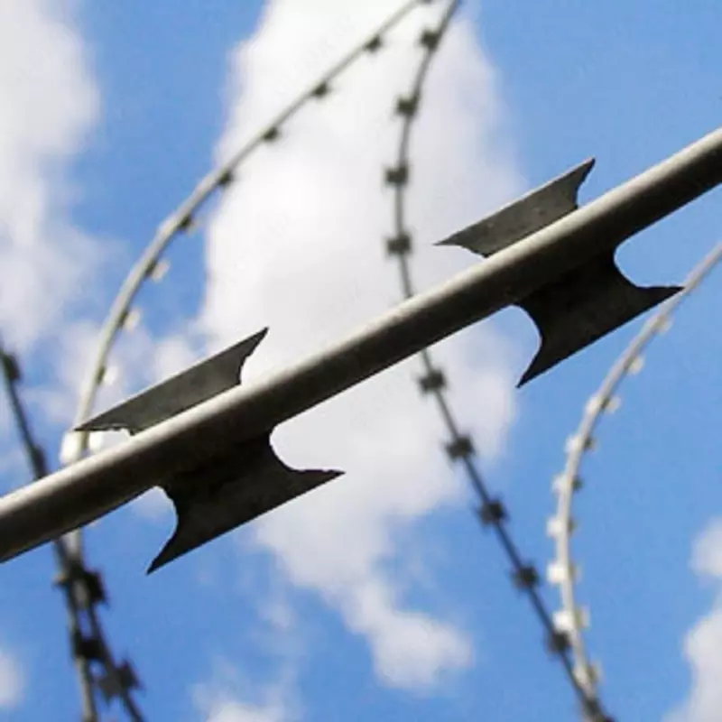 Проволока колючая «Егоза»