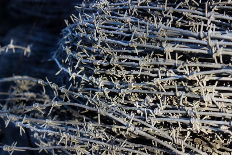 Проволока колючая