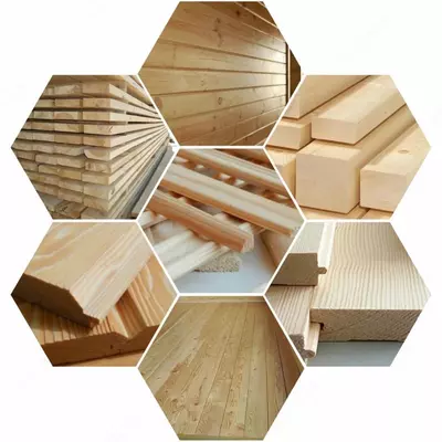 Российский лес