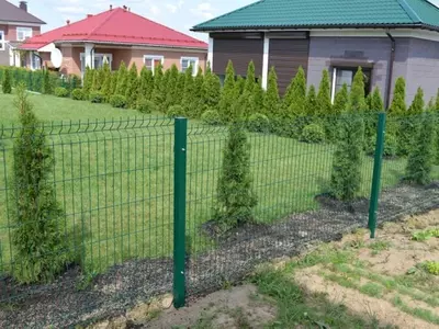 Eurofence (056-modda) - 25 000 so'm / kv.m