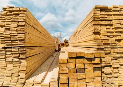 ассортимент (арт.067)