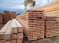 сосна и пихты (арт.073)