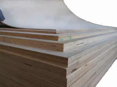 хвойная (арт.013)