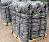 14 500 so'm Tikanli sim (042-modda)