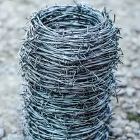 Tikanli sim (043-modda) - 19 000 so'm