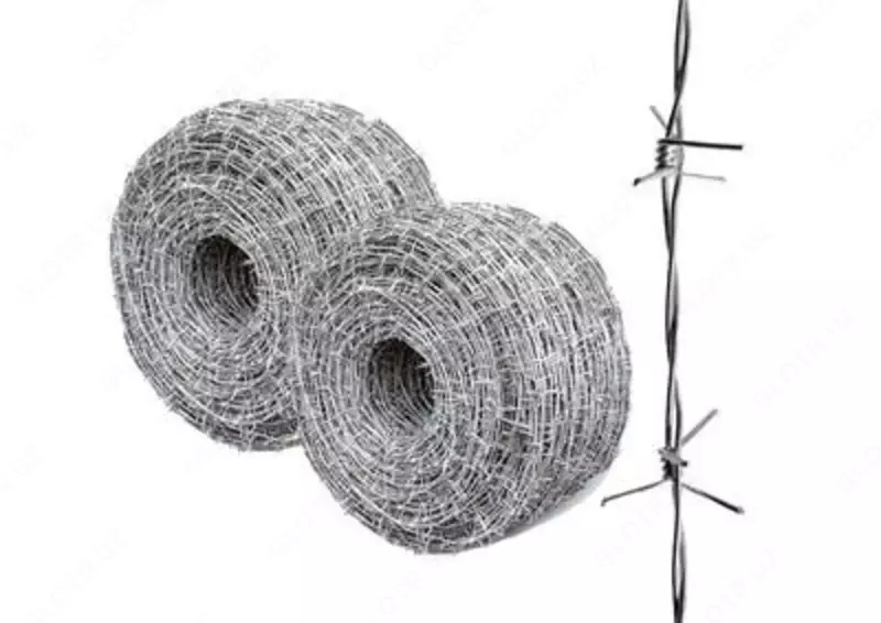 Tikanli sim (055-modda) - 88 000 so'm