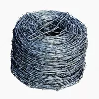 Tikanli sim (060-modda)