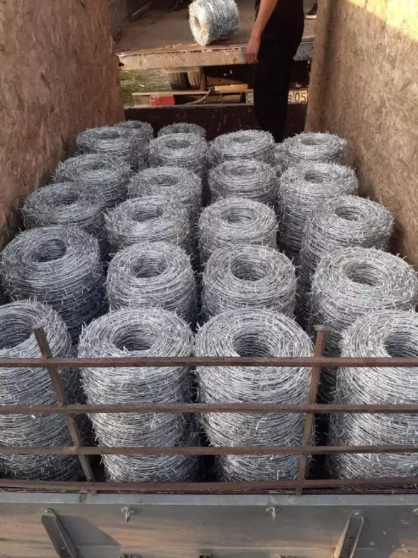 Tikanli sim (065-modda)