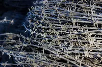 37 500 so'm Tikanli sim (068-modda)