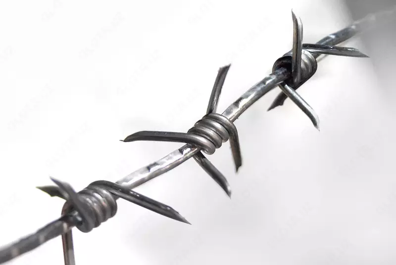 Tikanli sim (073-modda)