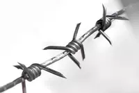 Tikanli sim (073-modda)