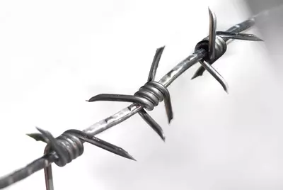 38 000 сум / бухта Колючая проволока (арт.074)