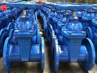 Quyma temir klapan (modda 001)