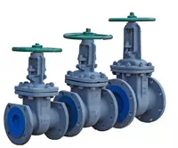 Quyma temir klapan (modda 005)