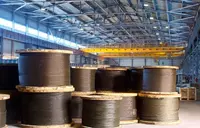 15 500 so'm Galvanizli arqon (029-modda)