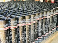 Poliizol (009-modda)